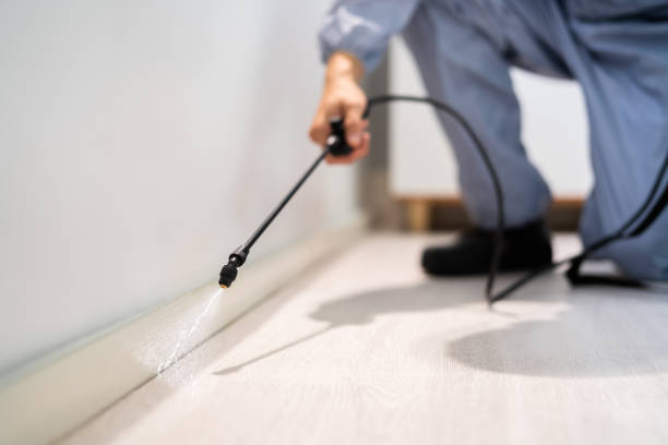 Licensed Fumigation Services service in Palm Harbor, FL - Nex Pest Control