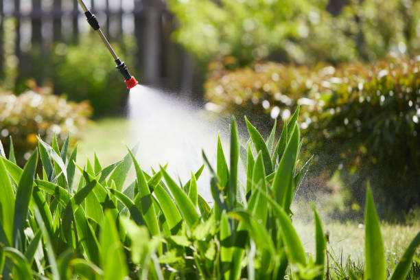 24/7 Emergency Fumigation Services experts in Palm Harbor, FL