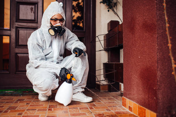 Reliable Fumigation Services contractor in Palm Harbor, FL by Nex Pest Control